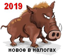      2019 