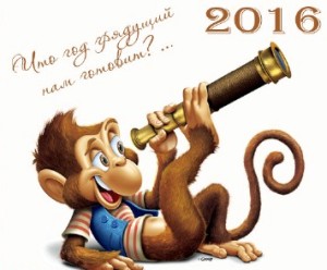    2016  -    