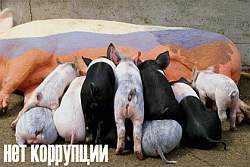     -     .  - socreklama.ru