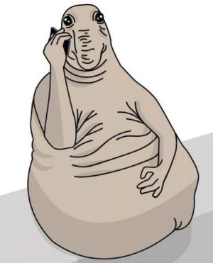  9  2022         