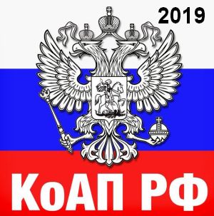     2019 